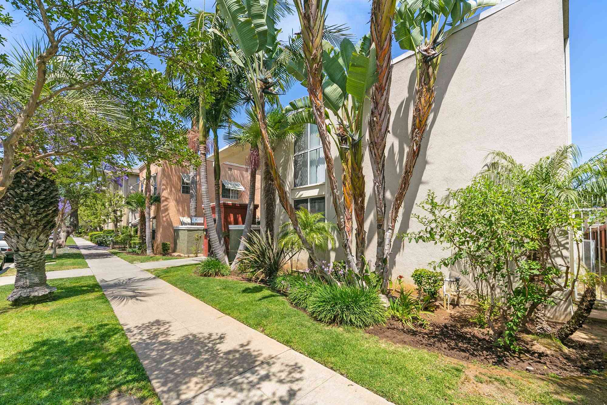 knolls on elm apartments landscaped exterior walkway with palm trees