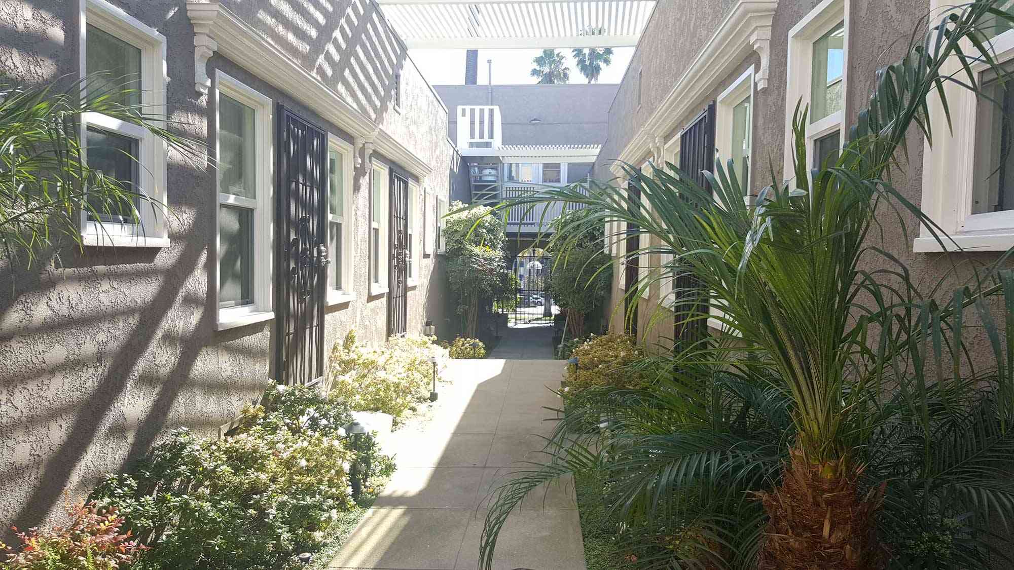 seaglass apartments outdoor courtesy walkway with palm trees and garden